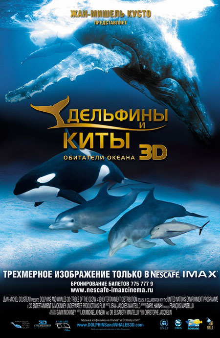 Дельфины и киты 3D